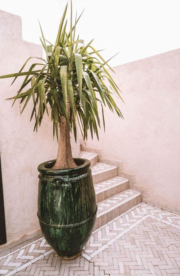 Hotel Oasis Dakhla Zewnętrze zdjęcie